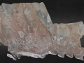 7-46-inkamachay-pictographs-copy-1024x619