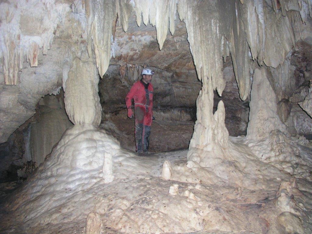 Cueva del Gallito de Rocas de Palestina - Cuevas y Tragaderos de Perú y Bolivia