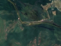 tigre_google
