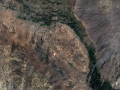 qillqantiji_google