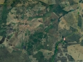 curicha2_google