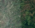carponasima_google
