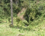 p1011279