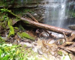 IMG_20260929_113006_842