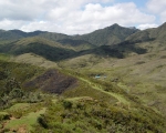 dsc07005