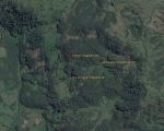 torreon2_google